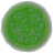 おうち用花畑のラグの画像
