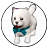 白柴ピュアカプセルのアイコン画像