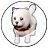 白柴犬カプセルのアイコン画像