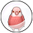 アキクサインコカプセルのアイコン画像