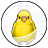 セキセイルチノカプセルのアイコン画像