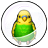 セキセイインコカプセルのアイコン画像